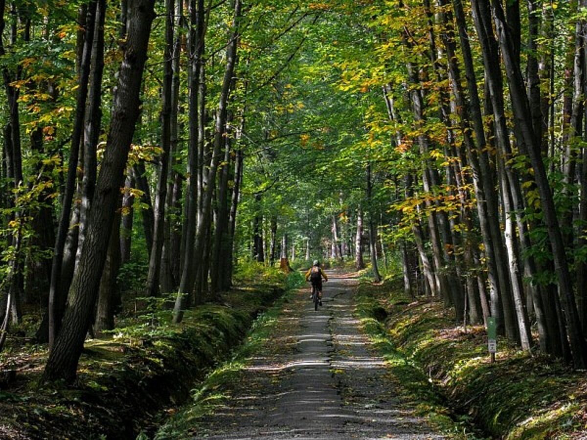 Mountainbike routes in Heure